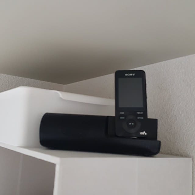 SONY スピーカー RDP-NWT19 ソニー 無かっ