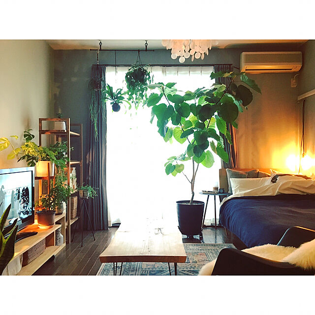 mirの-ポットスタンドフォーク 60 　≪植木鉢 ガーデン雑貨 おしゃれ 可愛い アイアンスタンド スチール製 インテリア≫の家具・インテリア写真