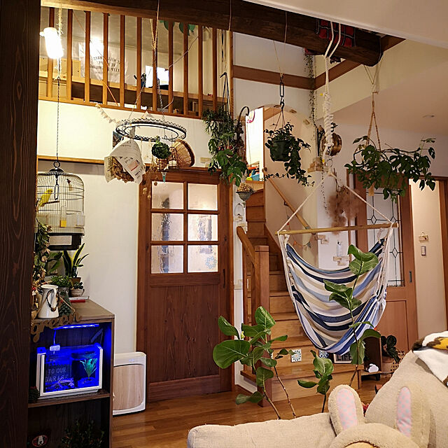 akiの-[送料無料] コトブキ ビュース ホワイト ガラス水槽セット （サイズ：W320xD180xH222mm 10L）の家具・インテリア写真