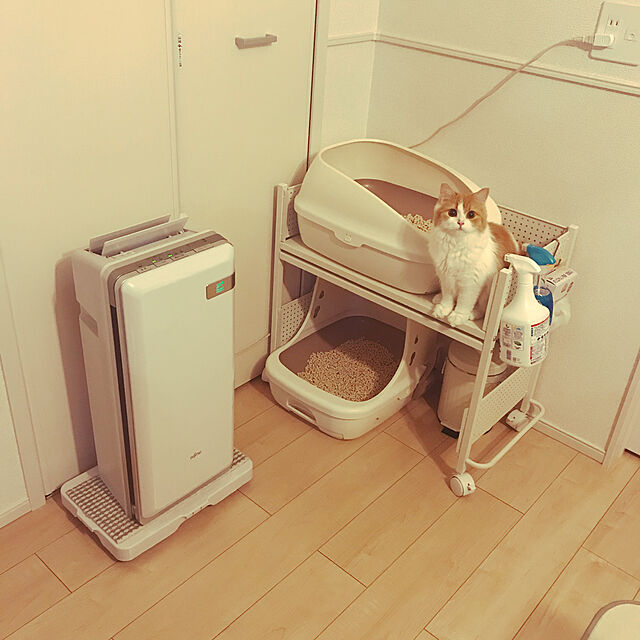 H.Tのユニチャーム-デオトイレ 本体セット ハーフ ナチュラルアイボリー 猫の家具・インテリア写真