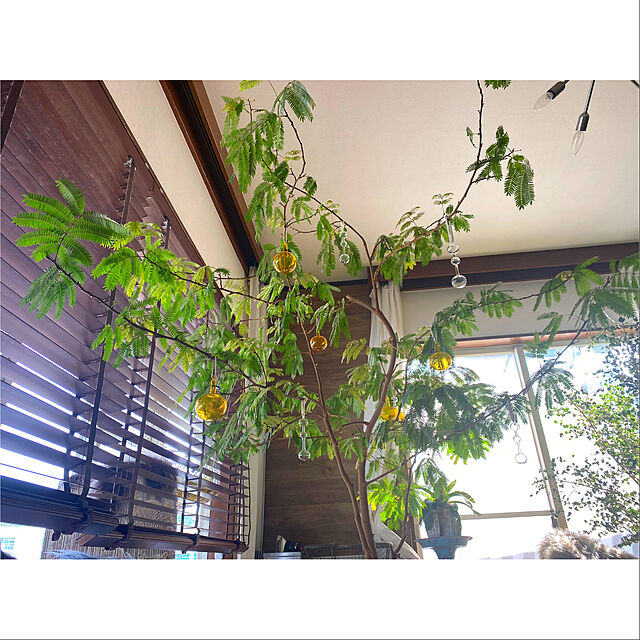 Megumiの-オーナメント アップル3個セット イエロー（イッタラ／iittala）の家具・インテリア写真