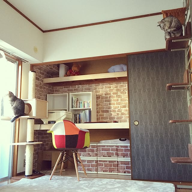写真付きレビュー】ボンビアルコン キャットウォーク 突っ張り式