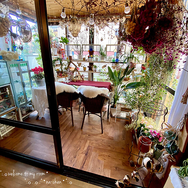 na-chanの-ベンジャミンバロック　観葉植物　インテリアの家具・インテリア写真