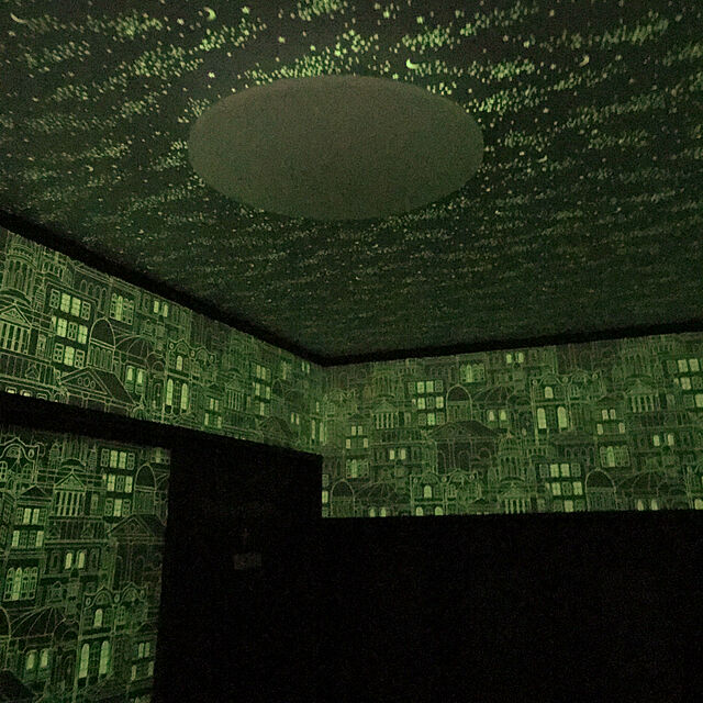 yurikoの-サンゲツ ファイン 壁紙 (クロス) 糊なし 〈防かび・蓄光〉 光る壁紙 (LED対応) (FE-1375) 【1m単位切売】の家具・インテリア写真