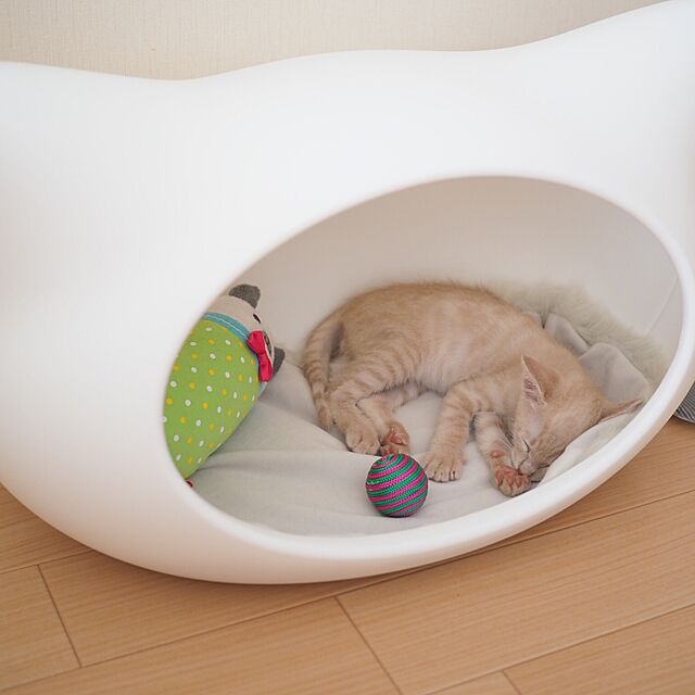 Chamのオーエフティー-【OFT】 ねころん しろ 猫顔モチーフ ドーム型ベッド ファーマット付き ホワイト 猫の家具・インテリア写真