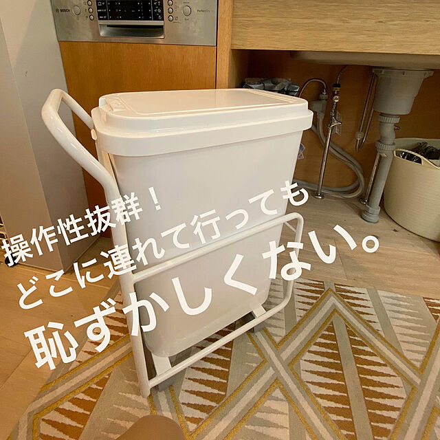MUのニトリ-RGダズトワゴン(25L シングル) の家具・インテリア写真