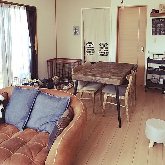 miiのイケア-IKEA/イケア　FJADRAR　クッションパッド　ホワイト　50x50cmの家具・インテリア写真