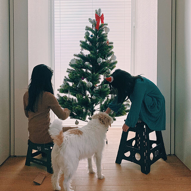 Anroomの-クリスマスツリー　150cm／RSグローバルトレード社【送料無料】の家具・インテリア写真