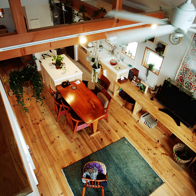 misakiの-【iCat】　つめとぎ しまネコ ＜オレンジ・ブラウン＞の家具・インテリア写真