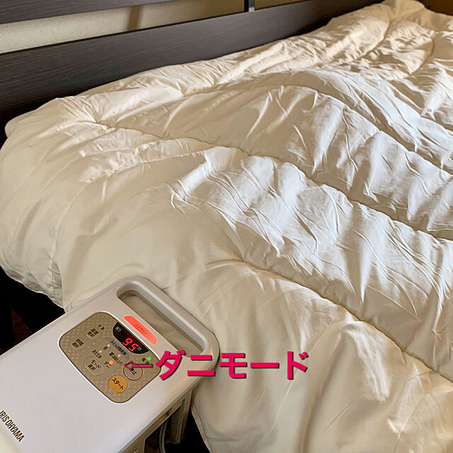 yasuyo66のニトリ-温度調整掛ふとん クイーン(CELL H Q) の家具・インテリア写真