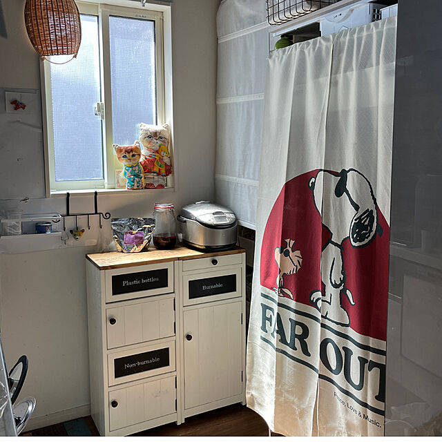 bonapetiのニトリ-ワイヤーシェルフ Nポルダディープ(ホワイトウォッシュ) の家具・インテリア写真