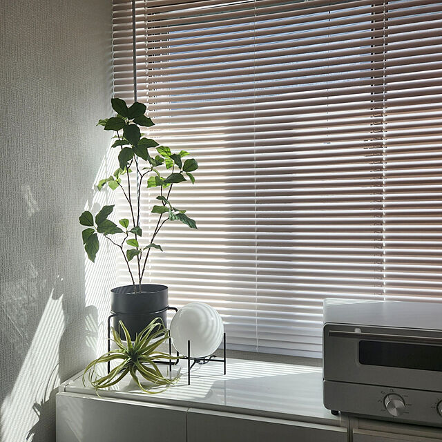 asokosamaのニトリ-エアプランツ(YX) の家具・インテリア写真