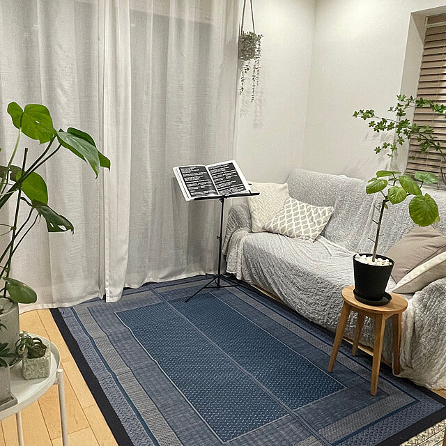 yumiのイケヒコ・コーポレーション-い草ラグ　ＤＸランクス　【イケヒコ】の家具・インテリア写真