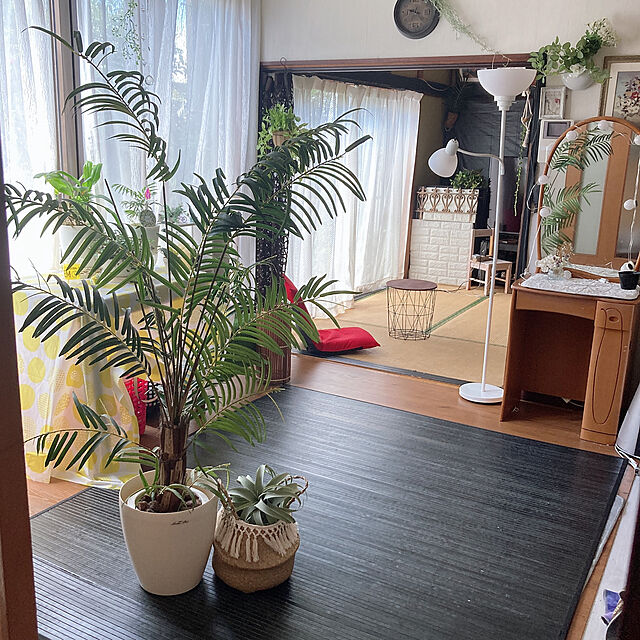 shoのイケヒコ・コーポレーション-竹ラグ　ユニバース　【イケヒコ】の家具・インテリア写真