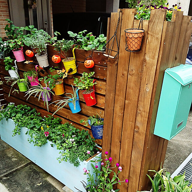 写真付きレビュー 植木鉢 10個 壁掛け 植木鉢カバー 金属製 ライフ小屋 排水穴 フラワーポット フック ガーデニング 壁吊り花ポット ベランダ菜園用 持の通販商品 口コミ情報 Roomclipショッピング