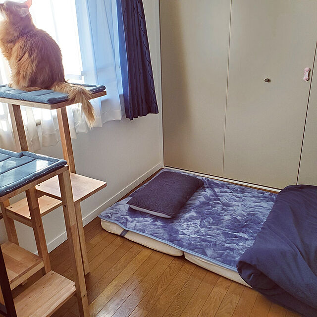 poteoreの-送料無料 キャットタワー 据え置き コンパクト 木製 猫タワー ネコタワー 室内用 おしゃれの家具・インテリア写真