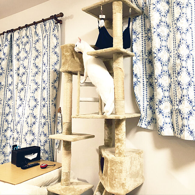 MEROの-キャットタワー 突っ張り型 大型 隠れ家 240cm〜260cm 猫タワー おしゃれ アスレチック 爪とぎ 猫グッズ 遊び場 ウェイモール WEIMALLの家具・インテリア写真