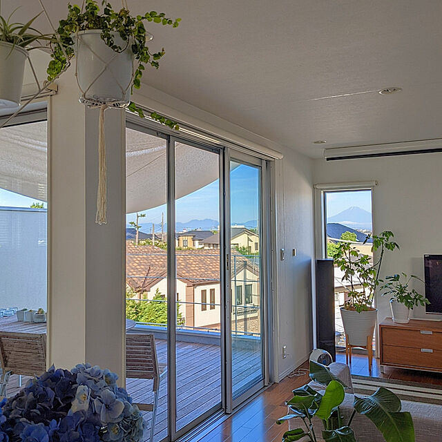 gooskaの-選べる観葉植物・鉢カバー 7号サイズの家具・インテリア写真