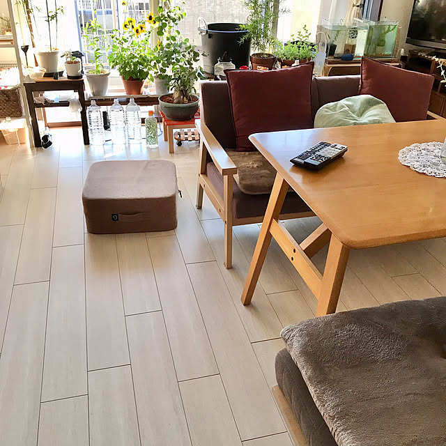 NOYES アームテーブル NOYESノイエスDecibel Professionalソファ+