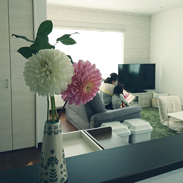 tata-kukuのニトリ-ローボード(Nブレイス 120LB WW) の家具・インテリア写真