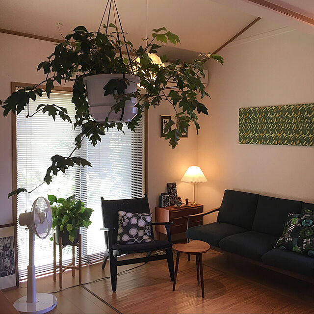 tomoの-観葉植物：シッサス・エレンダニカ*吊り鉢の家具・インテリア写真
