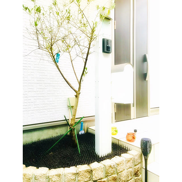 Hiroの花ごころ-花ごころ　オリーブの土　12L　関東当日便の家具・インテリア写真