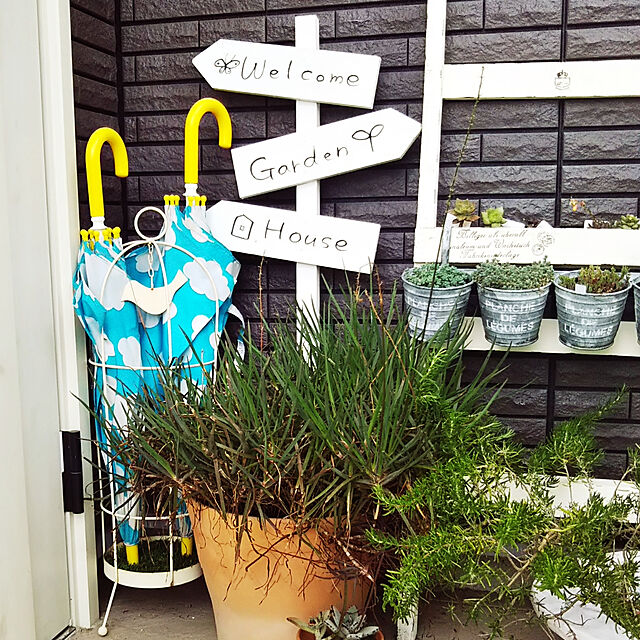 MMYS+harinezumiの-ガーデン ガーデニング エクステリア 植木鉢 鉢植え オーナメントプランター（ハット）小の家具・インテリア写真