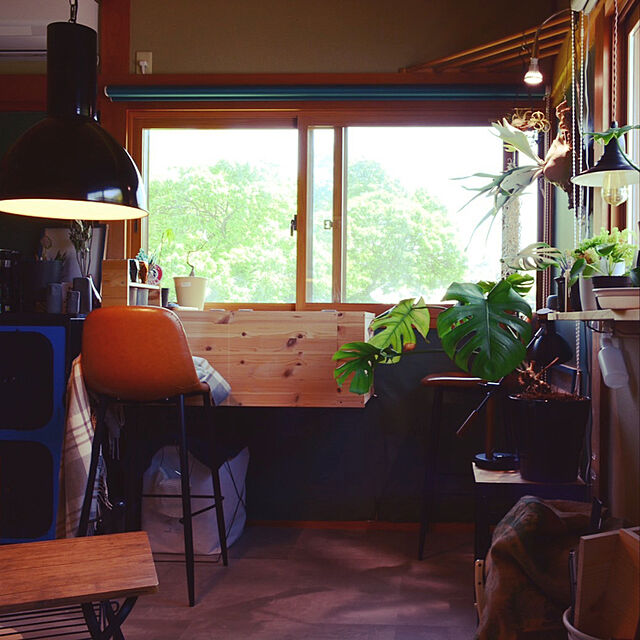 tomo0813の-【植物育成LED SUN-10W×E26 PLANT CLIP-A セット販売】の家具・インテリア写真