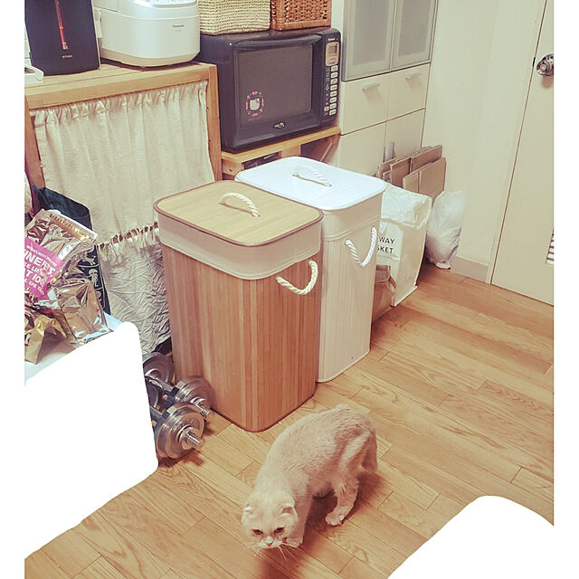 masSimonのジェックス-ジェックス ピュアクリスタル全猫用の家具・インテリア写真