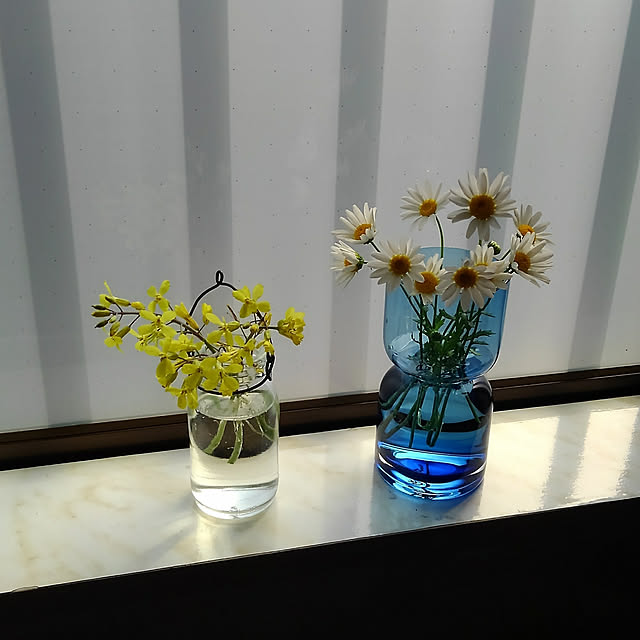 写真付きレビュー 園芸ネット クリサンセマム スノーランド3号ポット4株セットの通販商品 口コミ情報 Roomclipショッピング