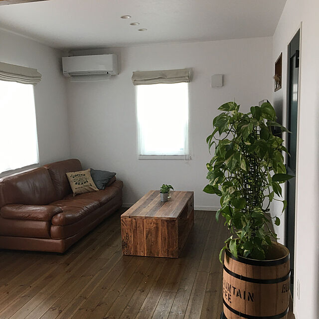 hashikaのニトリ-本革3人用ソファ(ビンテージ3 KD MBR) の家具・インテリア写真