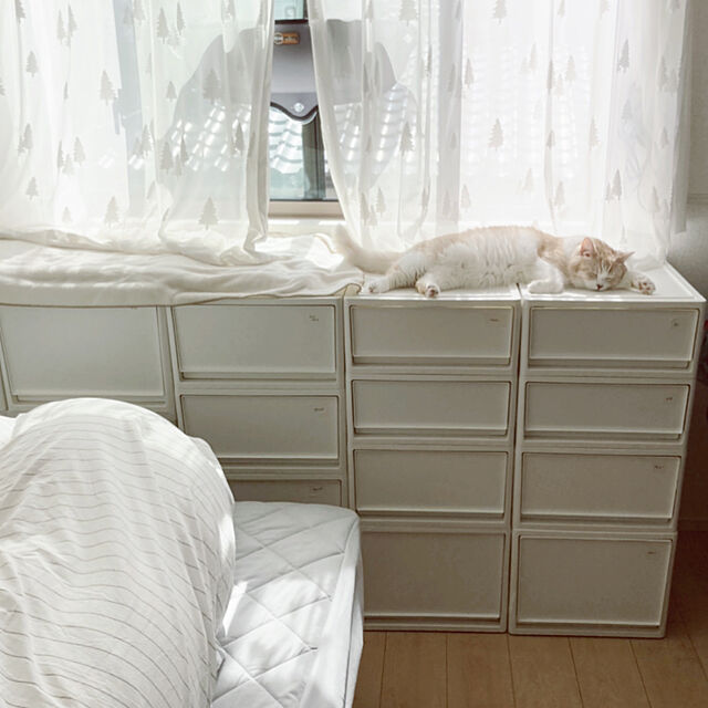 H.Tの-フランスベッド マットレスのみ セミダブル francebed 日本製 硬め 腰痛 2年保障 XA-241 マルチラススーパースプリングマットレス  高密度連続スプリングの家具・インテリア写真