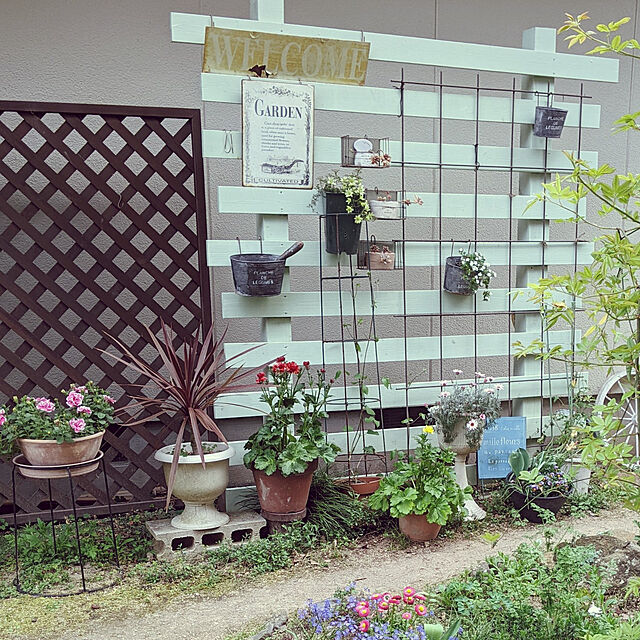 hiroの-草花の苗/[22年3月中下旬予約]ペチュニア：花衣　紅水晶3.5号ポットの家具・インテリア写真
