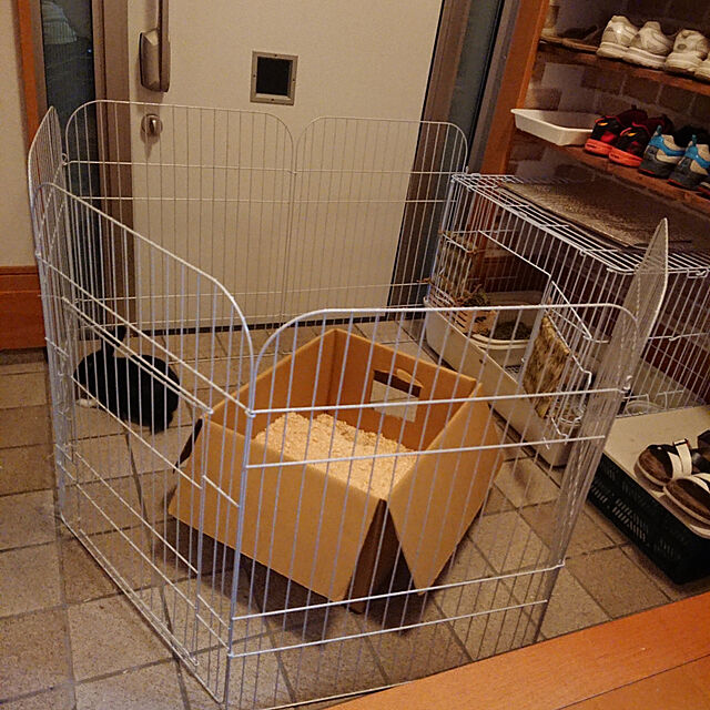 soyokoの-ドギーマン ミニアニマン 快適ふんわりベッド 14L 小動物の床材の家具・インテリア写真