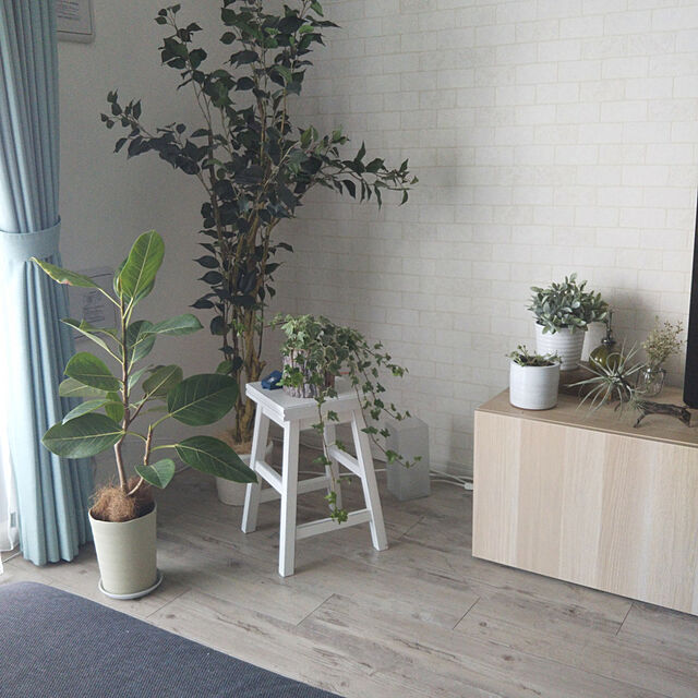 MAの-【国産壁紙】サンゲツ　SG5969の家具・インテリア写真