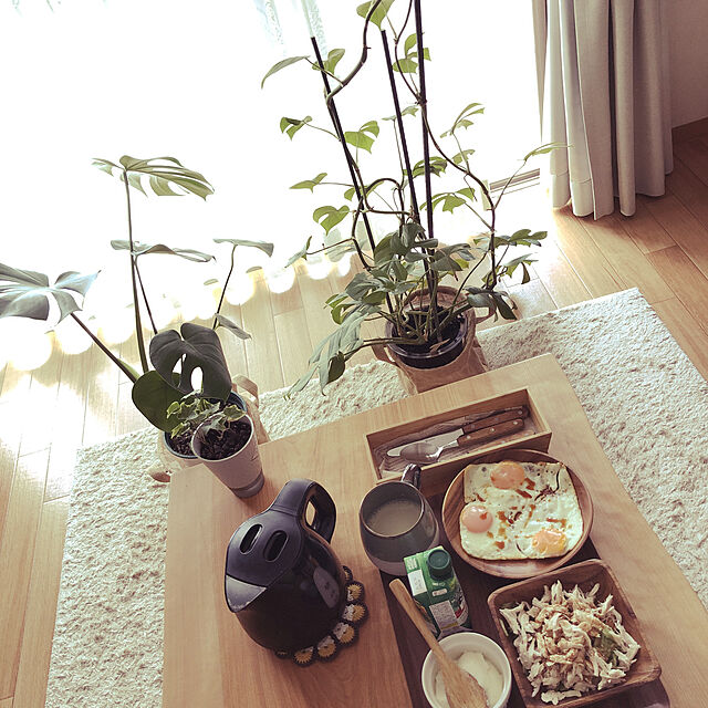 akihimeのニトリ-木柄サラダフォーク タバーナ の家具・インテリア写真