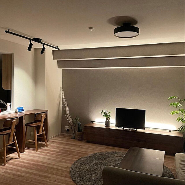 Marcoの-【Alexa対応】エジソンバルブLEDスマート スポットライト ダクトレール用 (ブラック) 2個セット LED一体型 調光 調色 スマート電球 DST-SL01BKの家具・インテリア写真