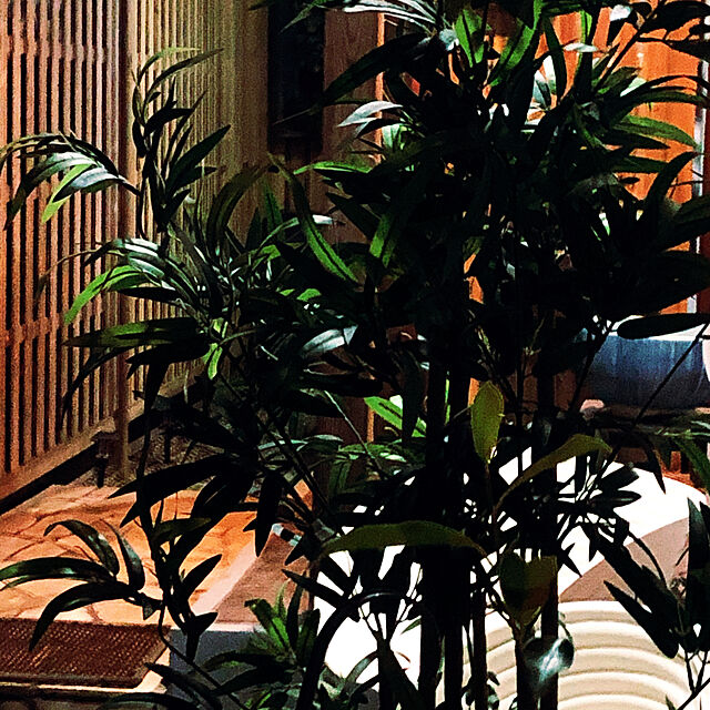 chacoのIKEA (イケア)-ＩＫＥＡ/イケア FEJKA：人工観葉植物170 cm 竹（804.678.05）の家具・インテリア写真