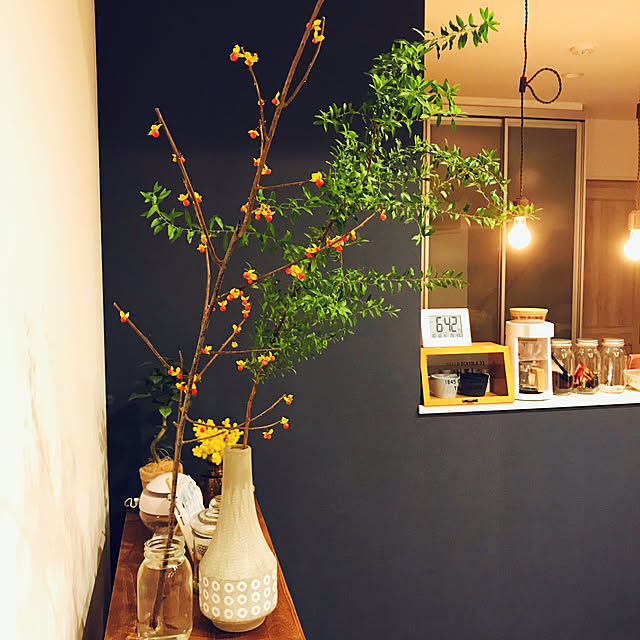 harumiの-【KI JAPAN】ケーアイジャパンHUGOヒューゴミニショーケースW30×D18×H17cm157090の家具・インテリア写真