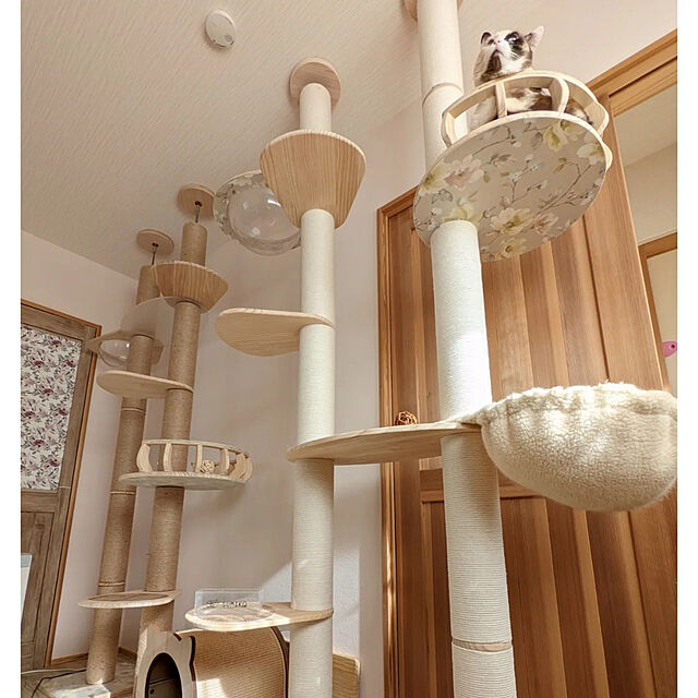 okuraの-※こちら旧店舗です。新店舗でご購入ください※＼ 日本メーカー 安心サポート 送料無料 ／ キャットタワー N0.1 SUMIKA 【 突っ張り 型 木製 キャットタワー 専用 シープ ボア ハンモック 】 猫 深型 あったか 冬 ベッド おしゃれ あたたかい ふわもこ 猫タワー 大型猫 猫の家具・インテリア写真