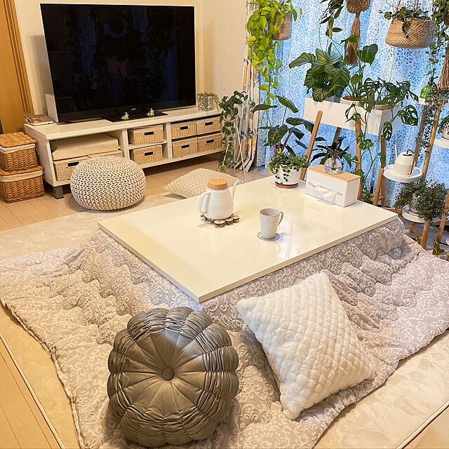 natsuのニトリ-【デコホーム商品】円形クッション(ピオニー GY SC024) の家具・インテリア写真