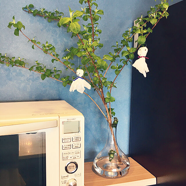 chiakiのイケア-STORSINT ストルシント カラフェの家具・インテリア写真