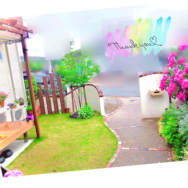 hinamamaの-草花の苗/ヒューケラ・ドルチェ フローズンマスカット3-3.5号ポットの家具・インテリア写真