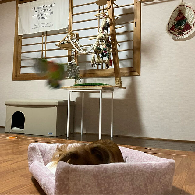 toratanのニトリ-ペットベッド(Nウォーム カリーヌ RO) の家具・インテリア写真