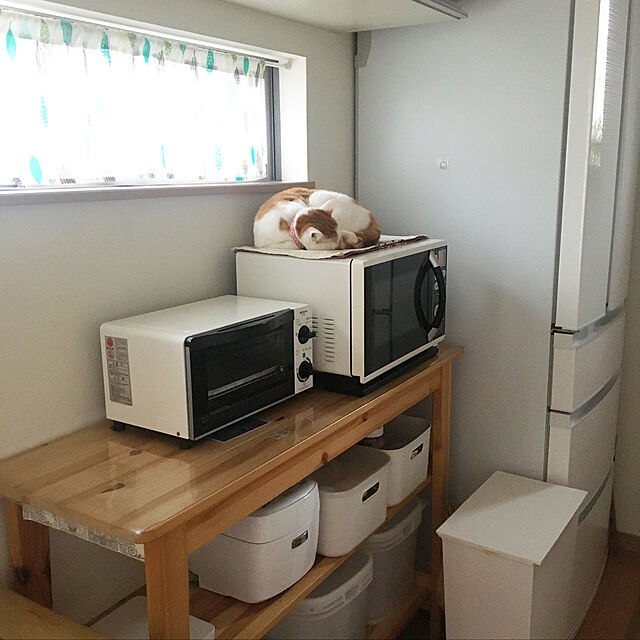 akitainu7の伸和-SHINWA 伸和 PE密封容器　パッカー　15Lの家具・インテリア写真