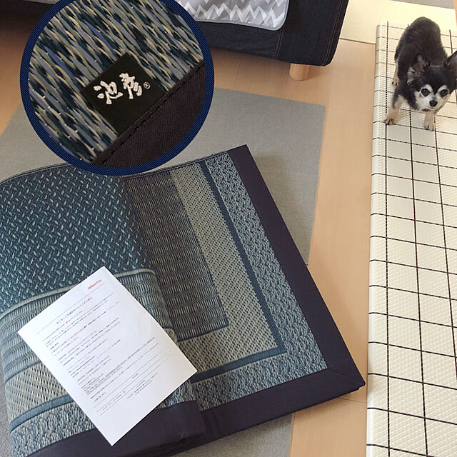 Emiのイケヒコ・コーポレーション-い草ラグ　ＤＸランクス　【イケヒコ】の家具・インテリア写真