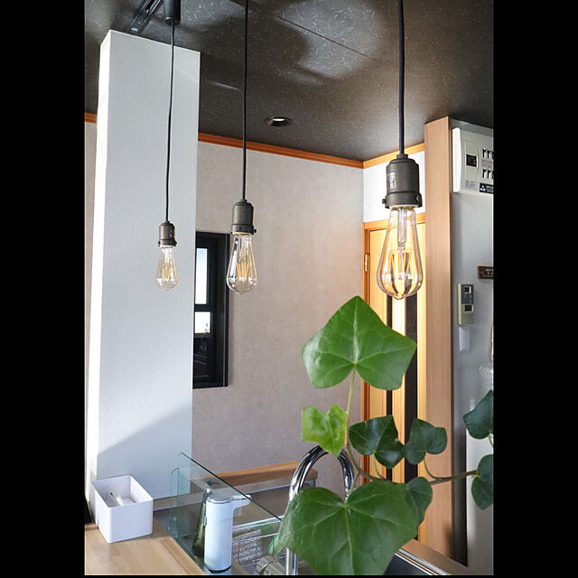 luckysumiのオーデリック-オーデリック 照明 おしゃれ ペンダントライト OP252563LC (ODELIC)の家具・インテリア写真