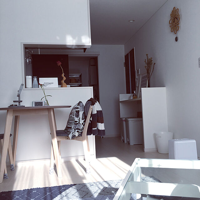 waraのニトリ-ダストボックス 9L(TD09 HD-IV) の家具・インテリア写真