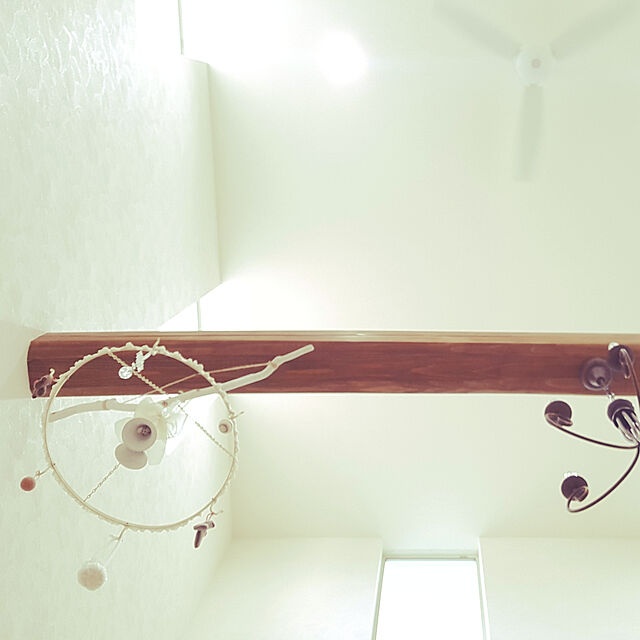 mio_ibu_1106のポッシュリビング-ウォールフック アイアンフック 金具 アイアン アンティークフック 吊り金具 ディスプレイ ハンギングサークルフックの家具・インテリア写真