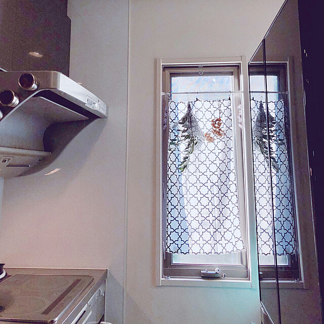 Aiの-SALUS（セイラス） マグネット　スパイスラック4Pの家具・インテリア写真